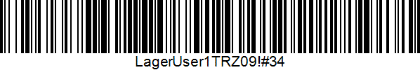 image-20250205-161031.png